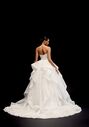 Justin Alexander Signature Nisha Ball Gown Wedding Dress - thumbnail - 3