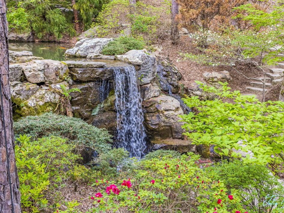 Picture of Garvan Woodland Gardens