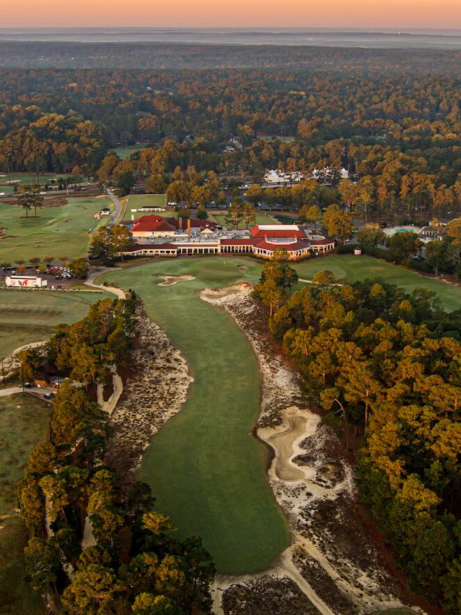 Picture of Pinehurst No 2