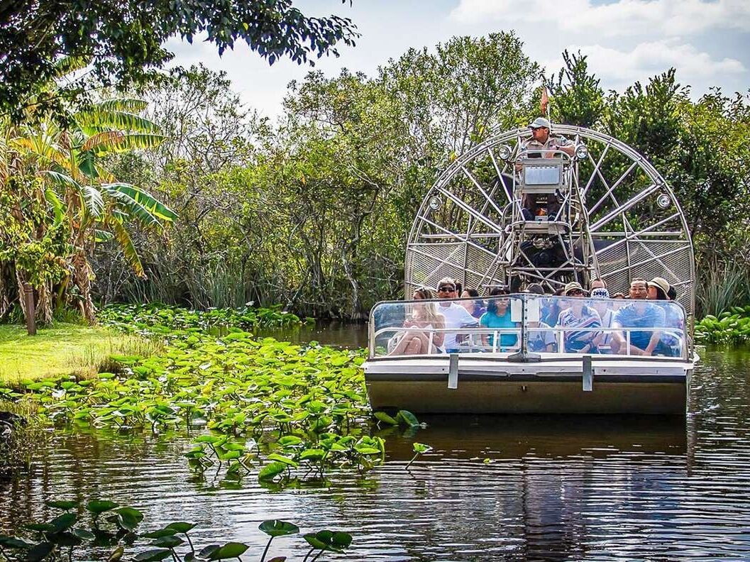 Picture of Airboat in the Everglades