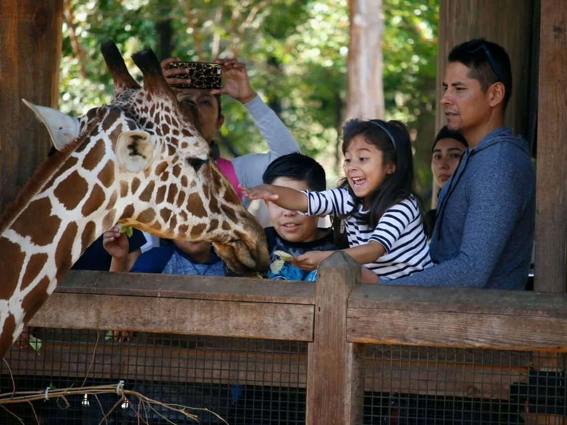 Picture of Dallas Zoo