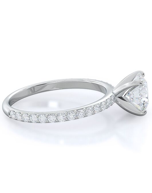 With Clarity Classic Princess, Asscher, Cushion, Emerald, Marquise, Pear, Radiant, Round, Oval Cut Engagement Ring - 2
