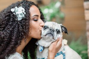 Bride Kissing Pug During Wedding at Serendipity Gardens in Oak Glen, California