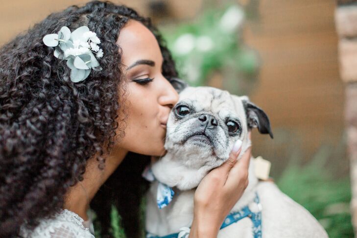 Bride Kissing Pug During Wedding at Serendipity Gardens in Oak Glen, California