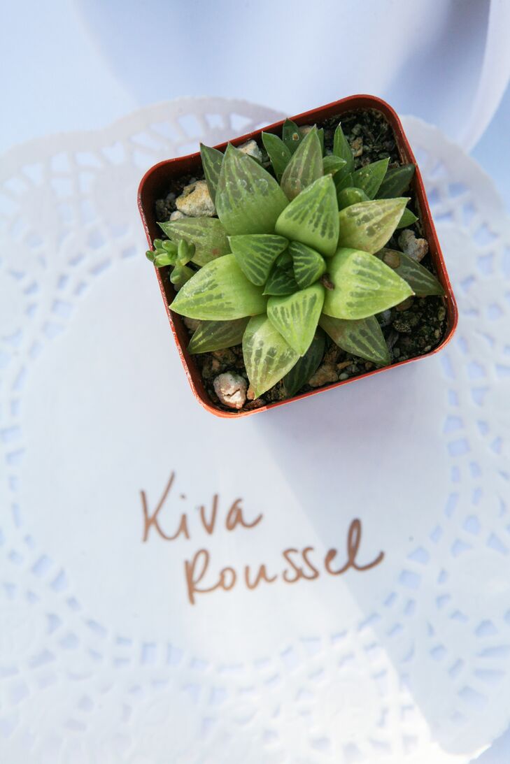 The couple used miniature succulent potted plants as escort cards. The plants, grown locally in Leucadia, California, doubled as take-home favors for guests.