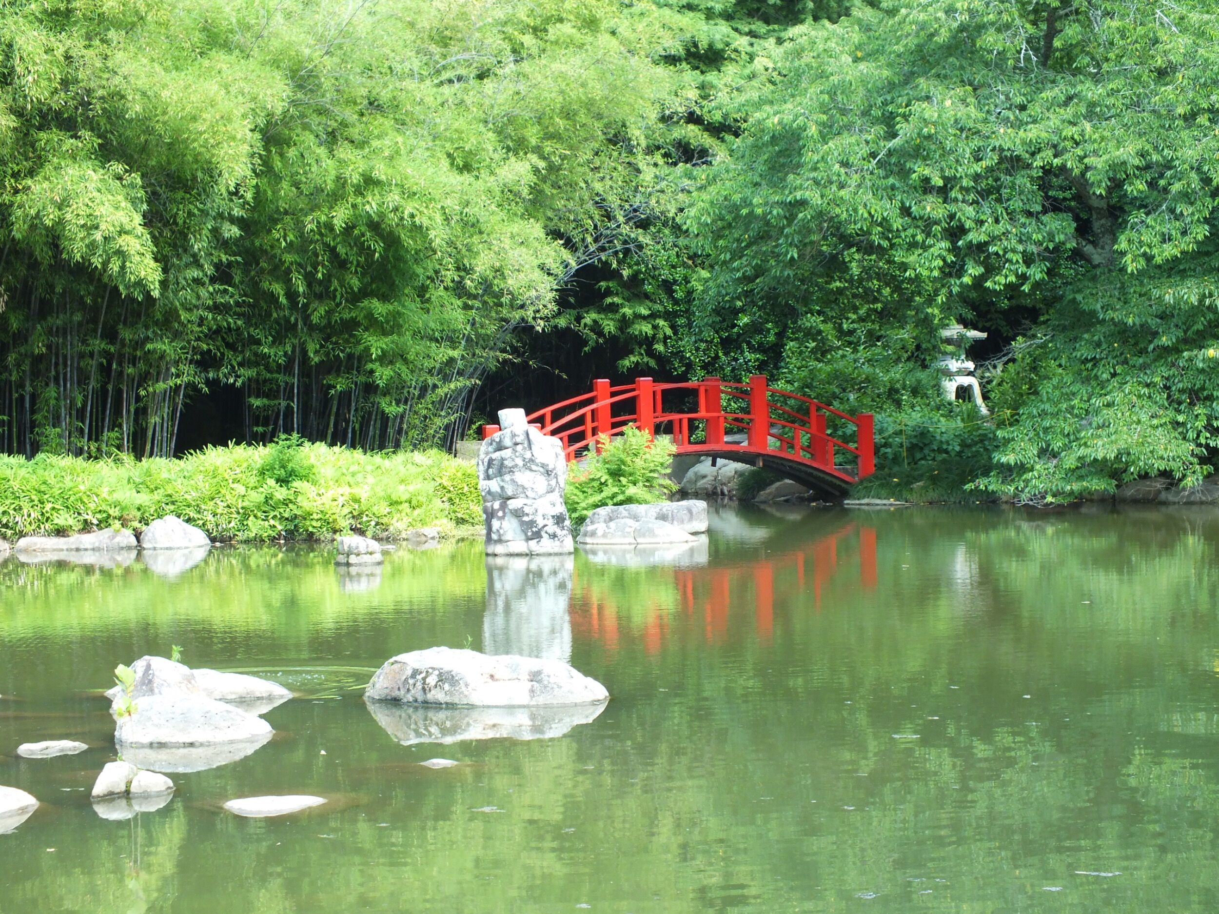 Picture of Birmingham Botanical Gardens