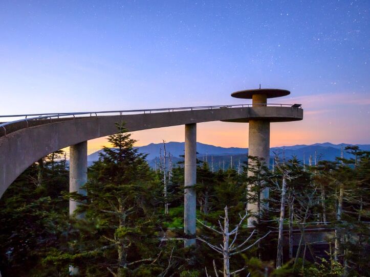 Picture of Clingman's Dome 