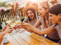 Friends toasting wine at bridal shower brunch