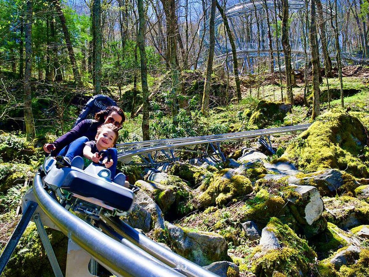Picture of Wilderness Run Alpine Coaster