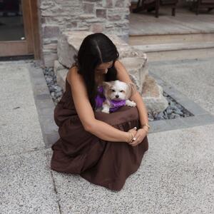 Gallery Photo 51