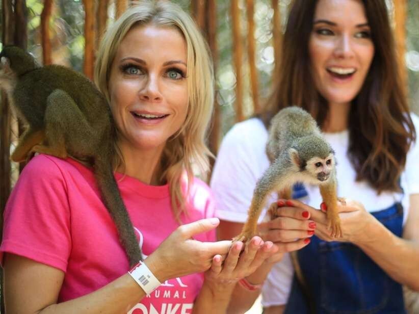 Picture of Akumal Monkey Sanctuary