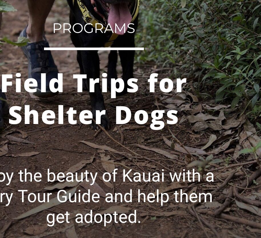 Picture of Kauai Humane Society