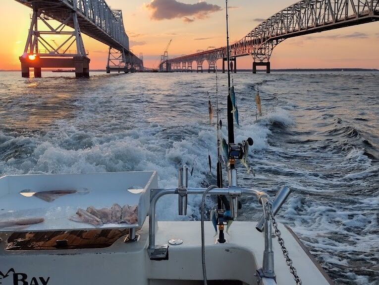 Picture of Chesapeake Bay Sport Fishing