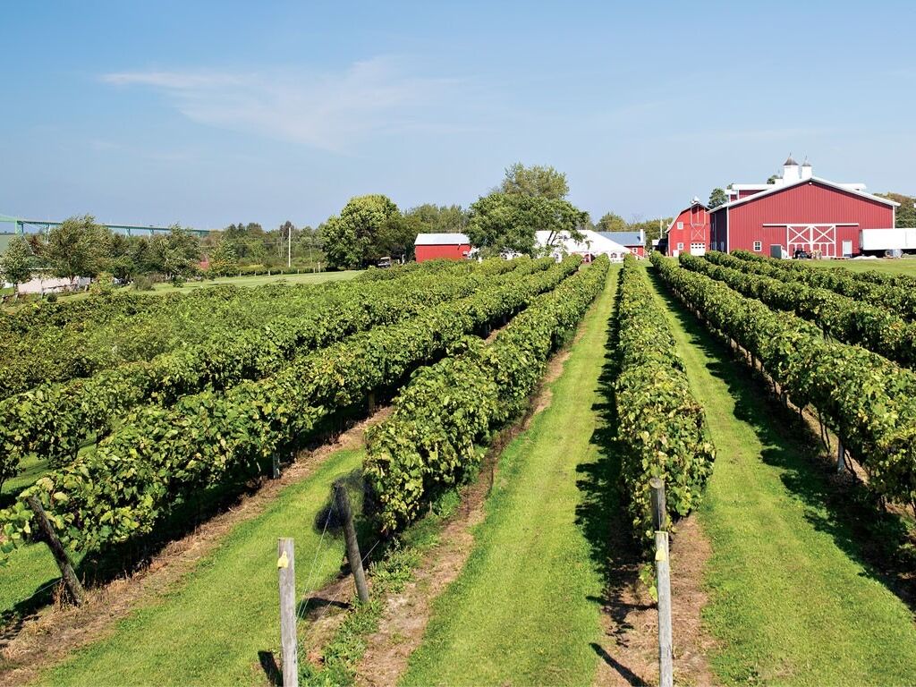 Picture of Thousand Islands Winery