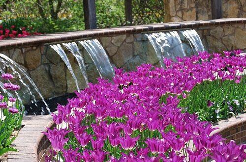 Picture of Botanica Gardens