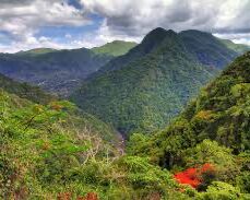 Picture of El Yunque National Rainforest 