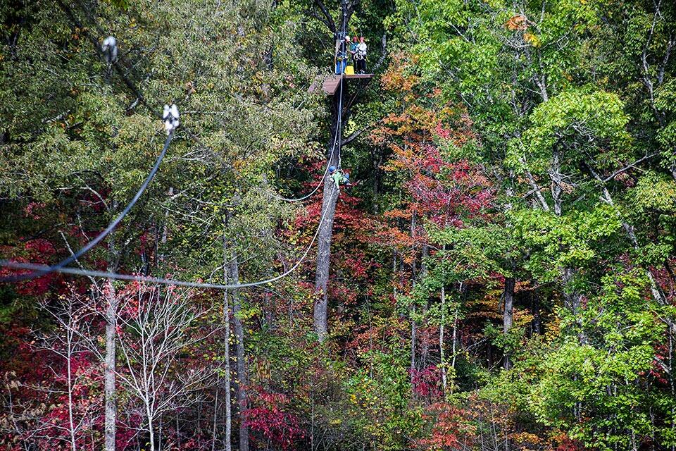 Picture of Smoky Mountain Ziplines