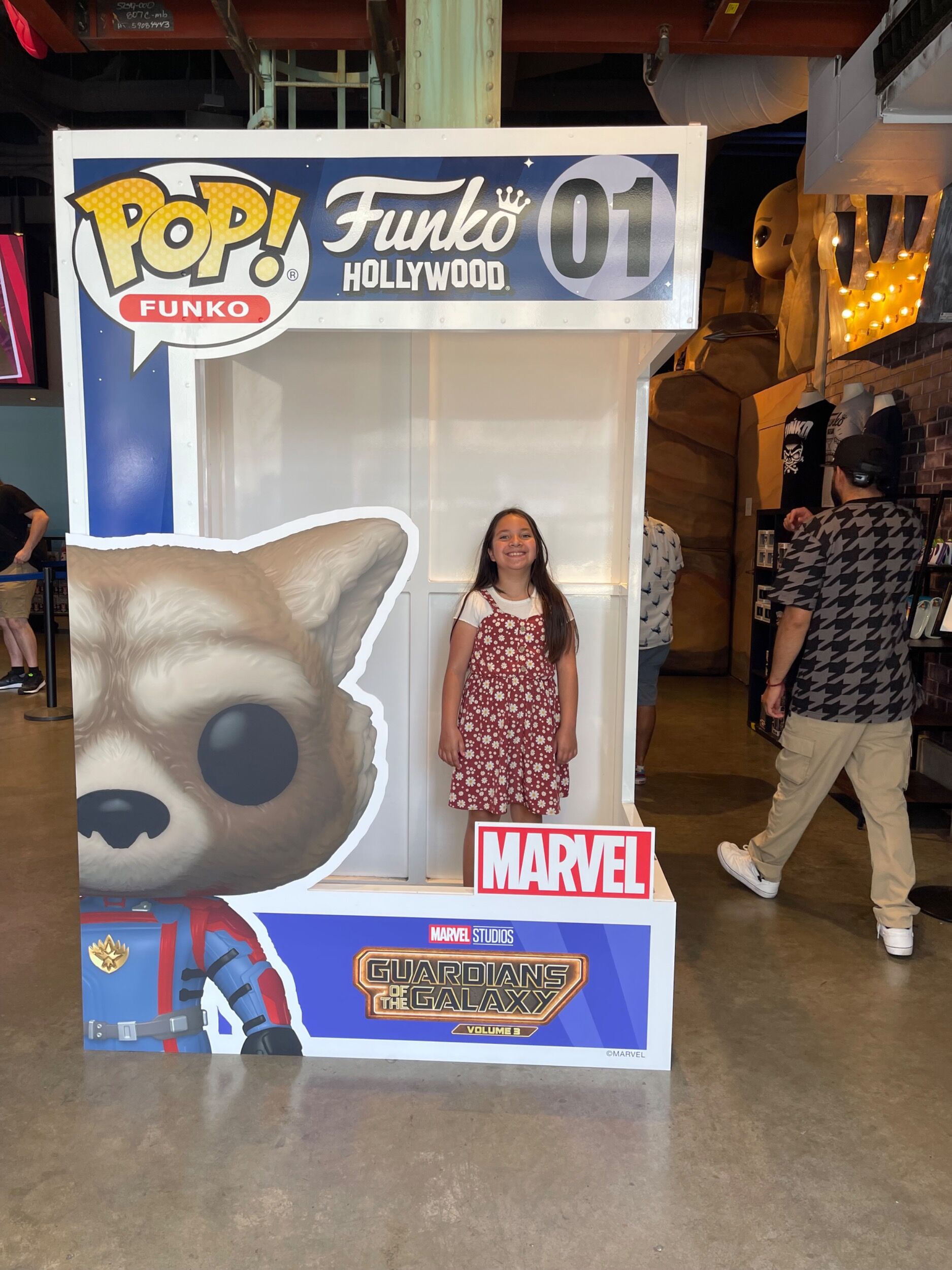 Picture of Funko Hollywood