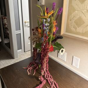 Gallery Photo 12