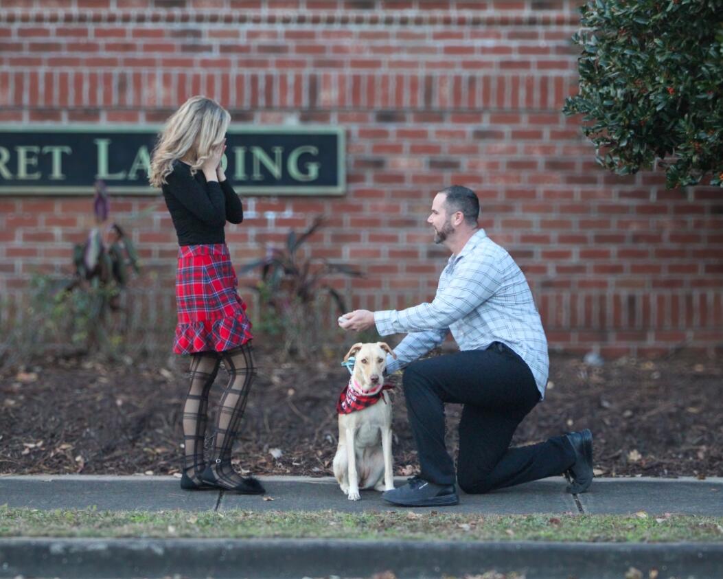 Picture of Welcome To Our Love Story 