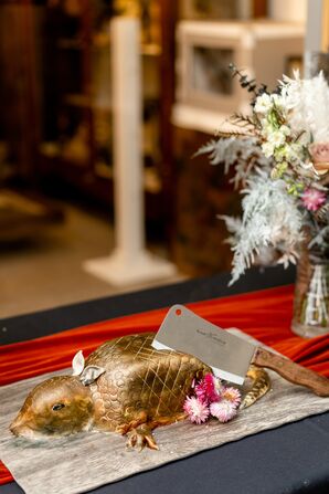 Armadillo Cake for Wedding at the Everhart Museum in Scranton, Pennsylvania
