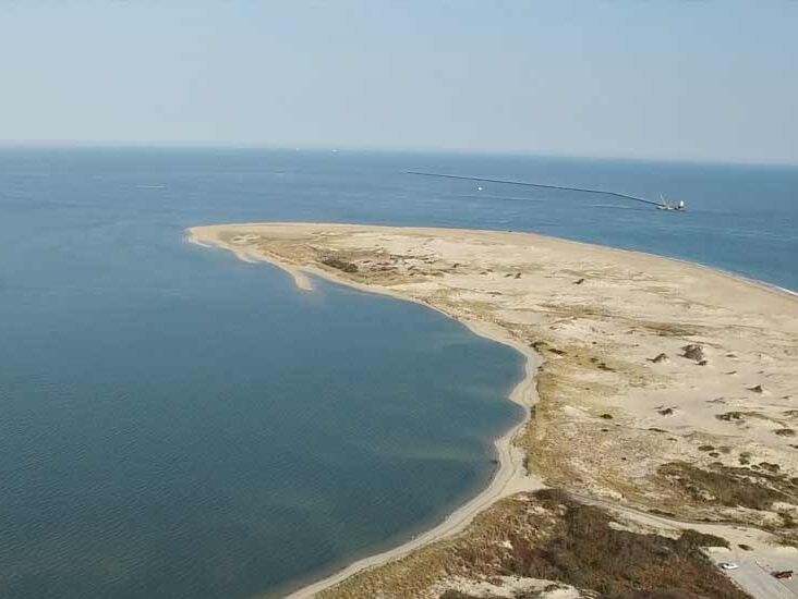 Picture of Cape Henlopen State Park 