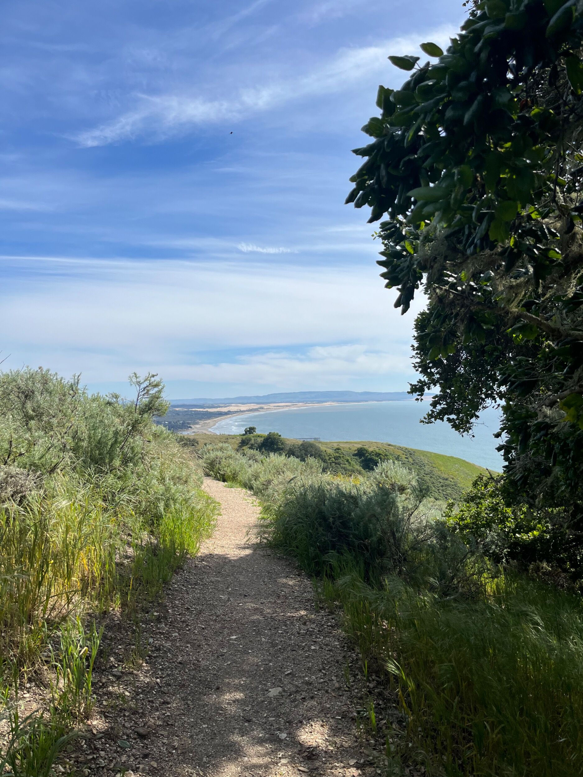 Picture of Pismo Preserve