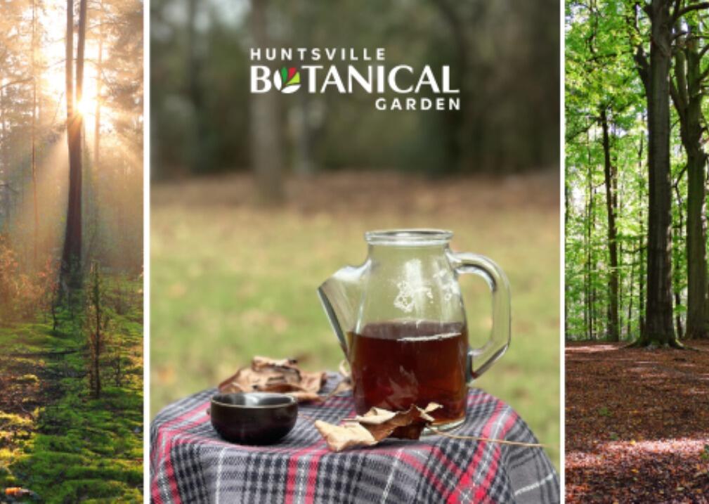 Picture of Huntsville Botanical Garden