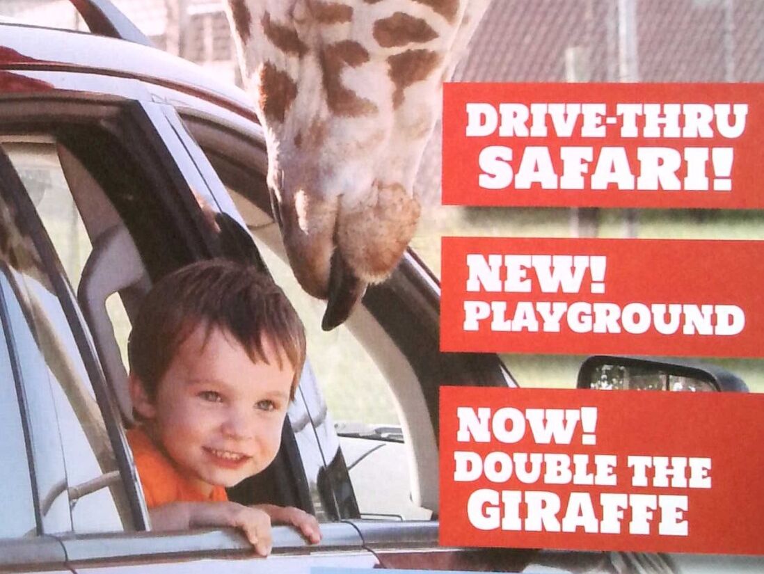 Picture of African Safari Wildlife Park