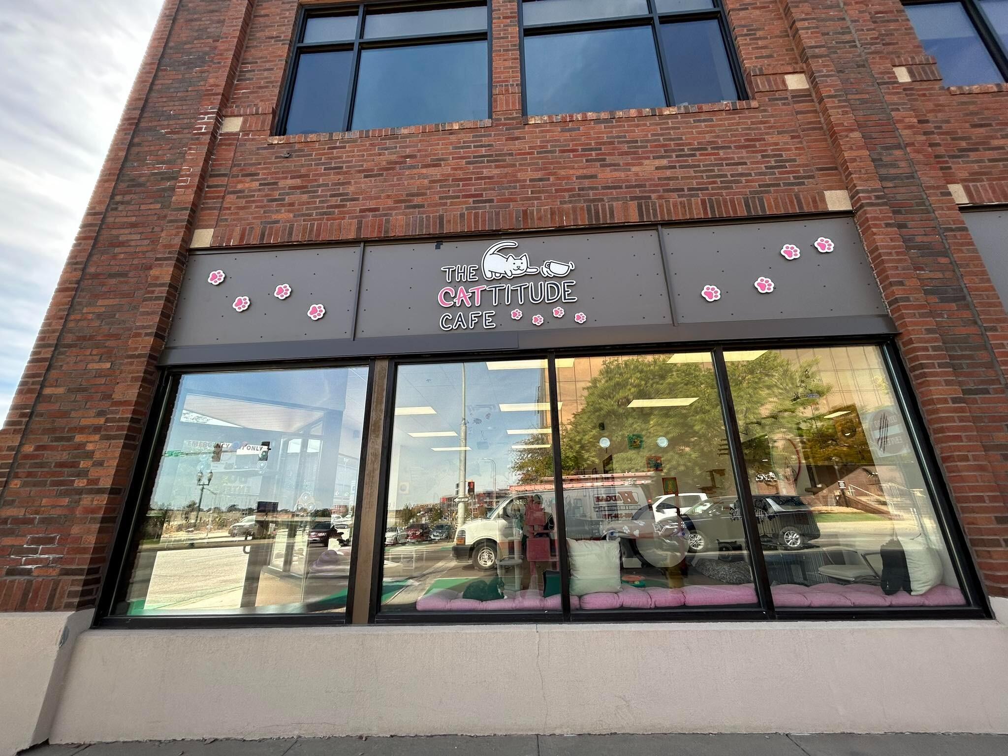 Picture of The Cattitude Café