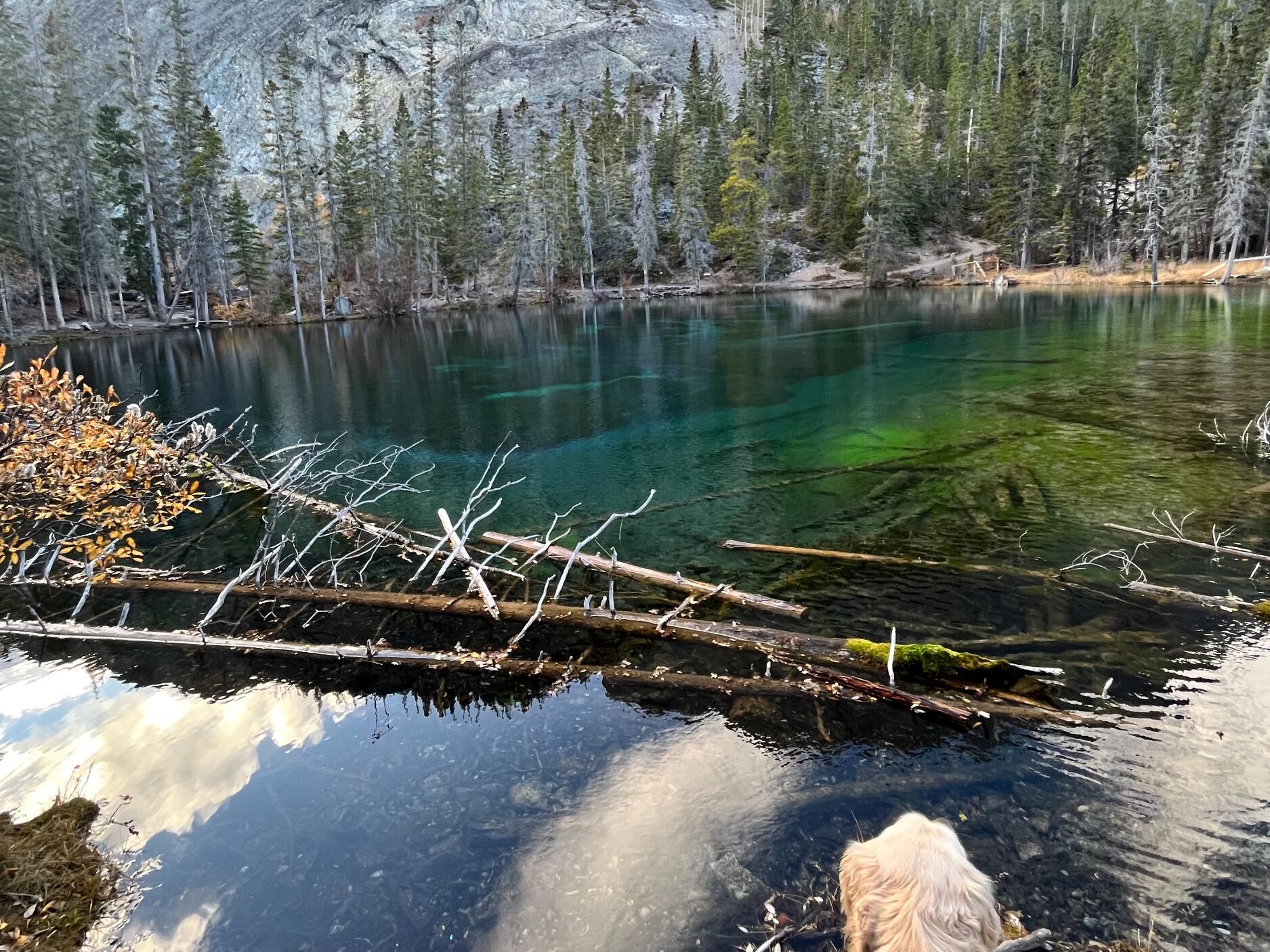 Picture of Grassi lake, Canmore Alberta