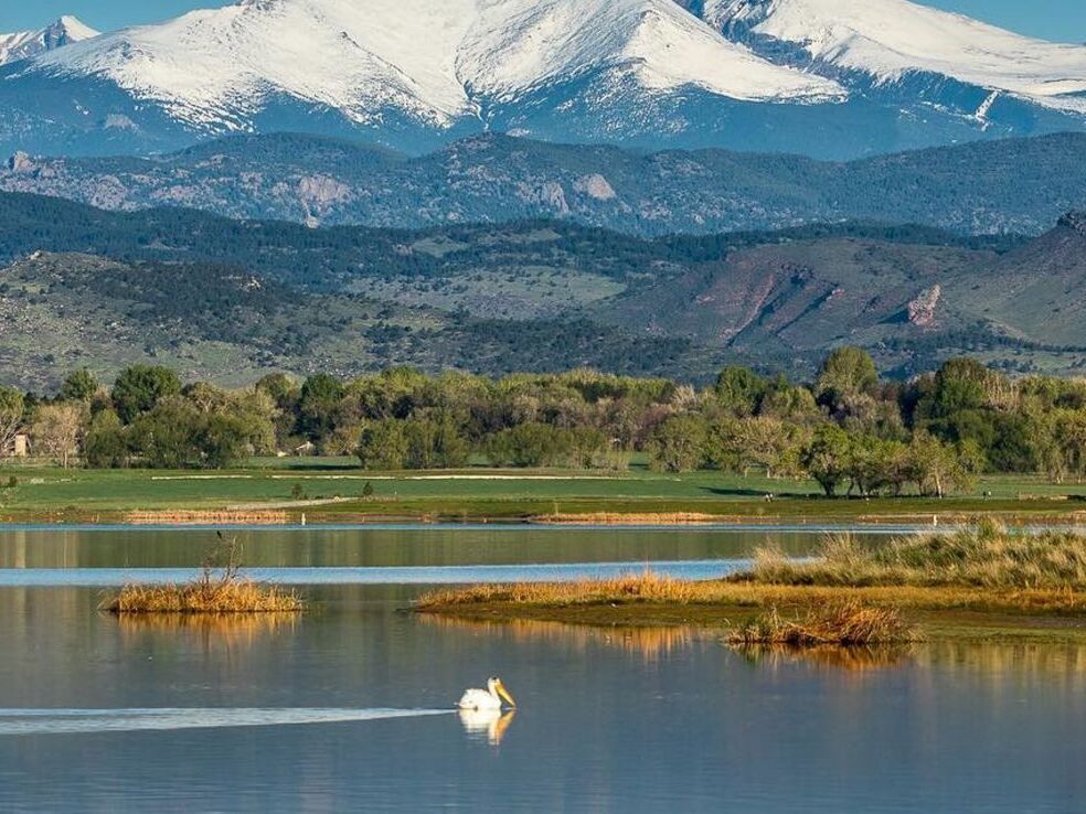 Picture of McIntosh Lake