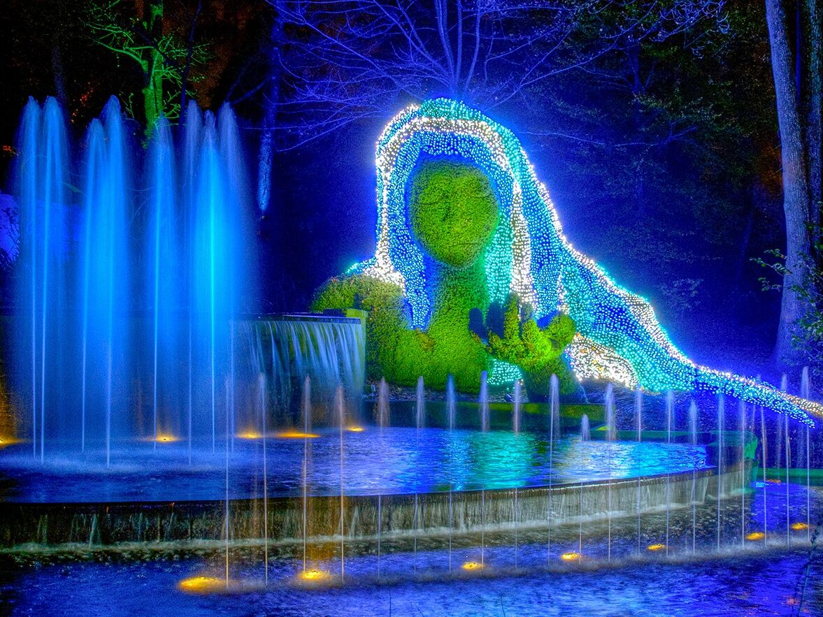 Picture of Atlanta Botanical Garden