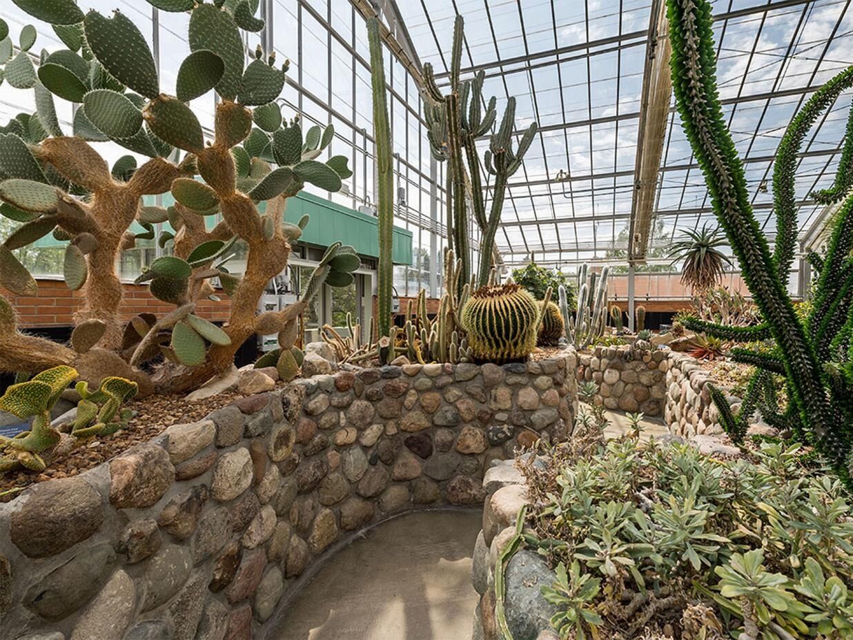 Picture of Matthaei Botanical Gardens