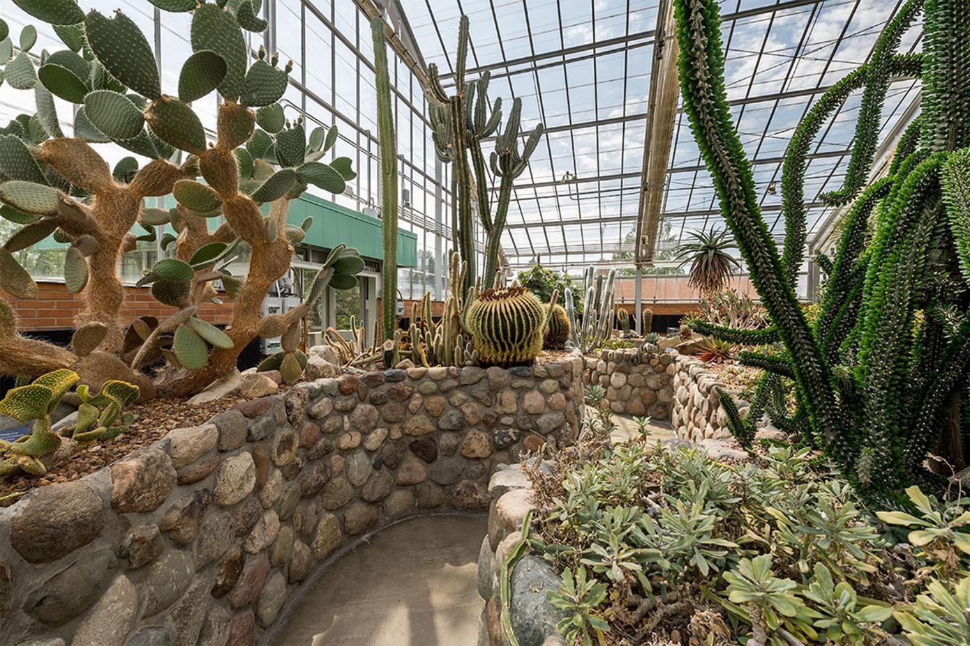Picture of Matthaei Botanical Gardens
