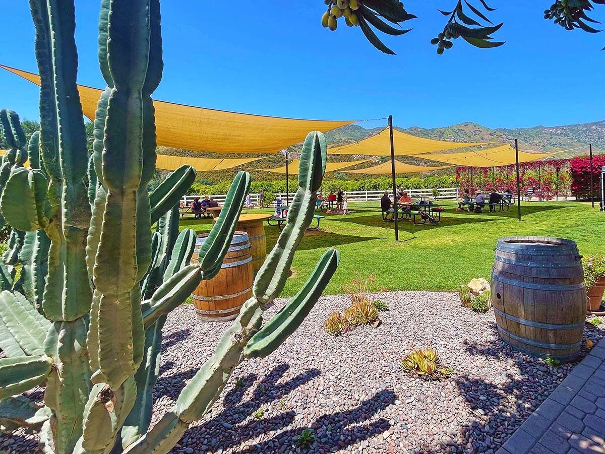 Picture of Rancho Guejito Vineyard