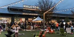 Picture of Halcyon