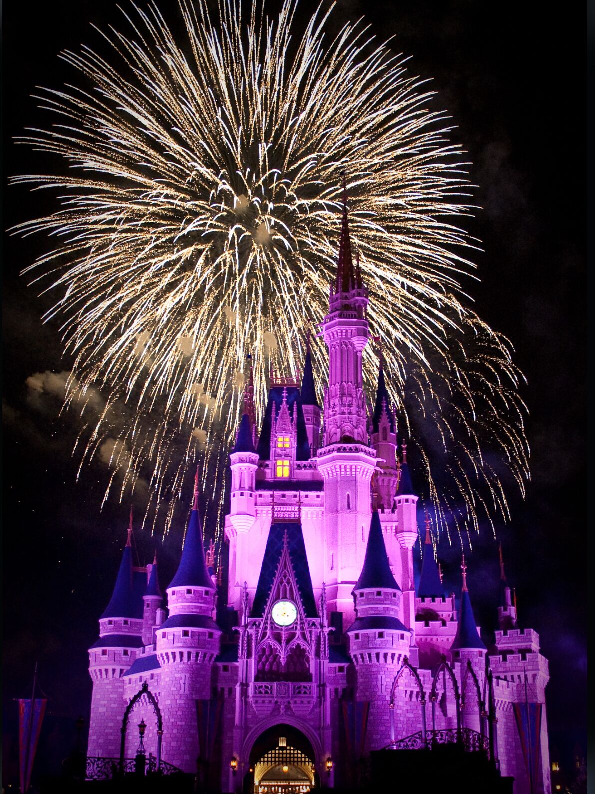 Picture of Disney World