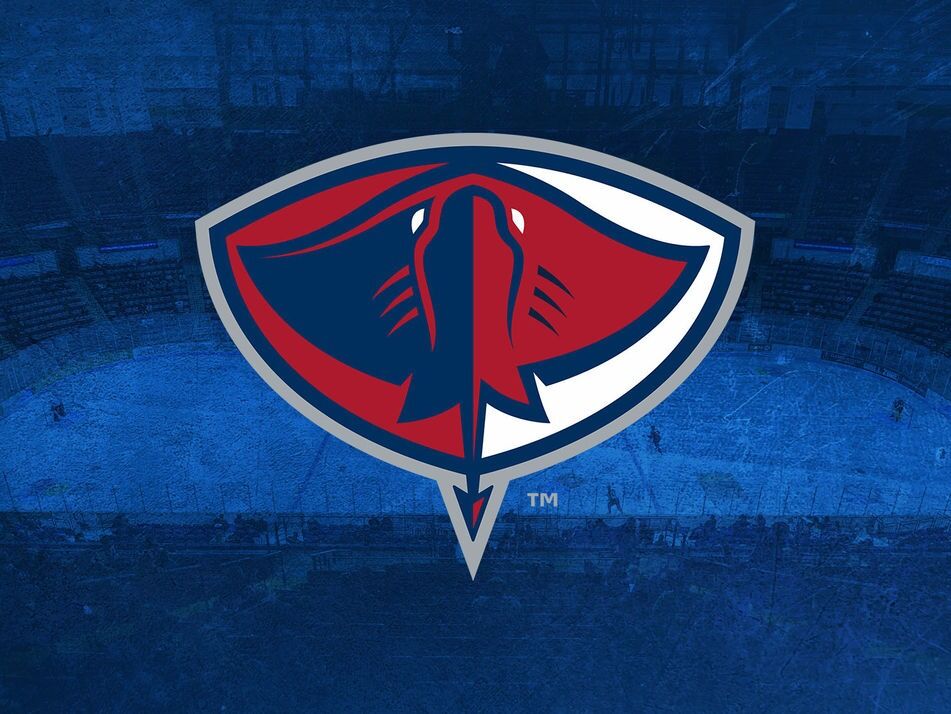 Picture of South Carolina Stingrays