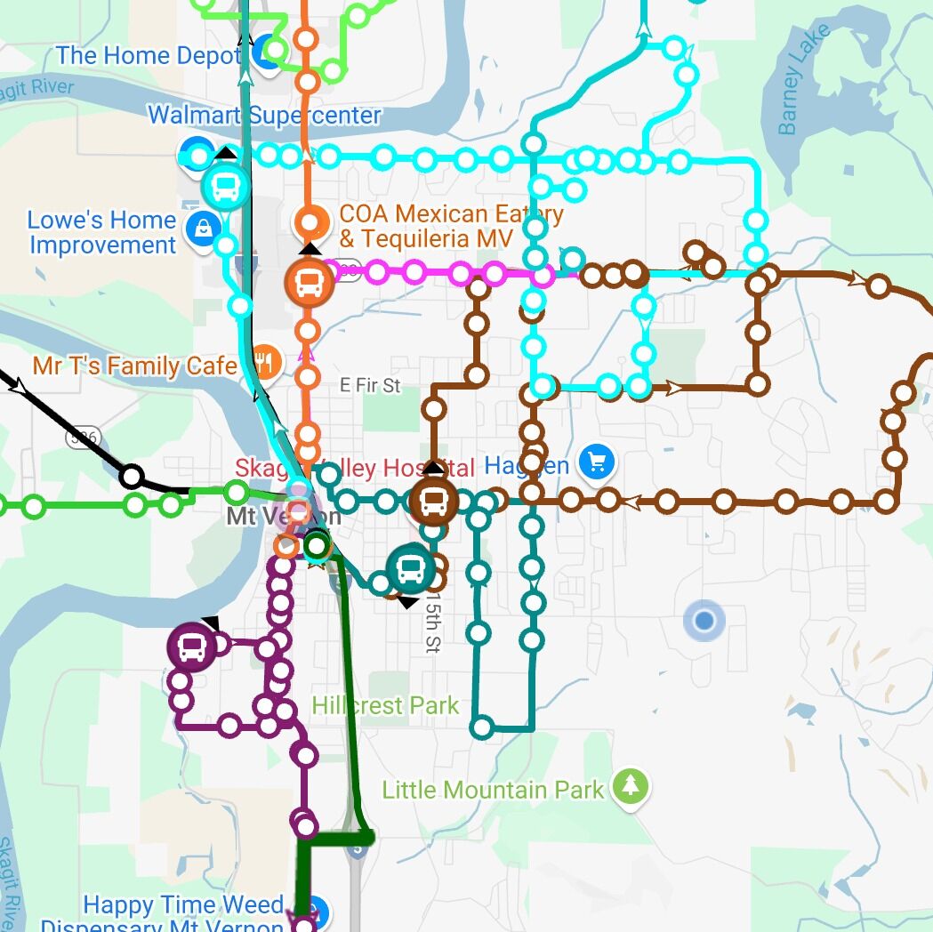 Picture of Skagit Transit