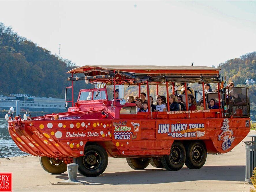 Picture of Just Ducky Tours