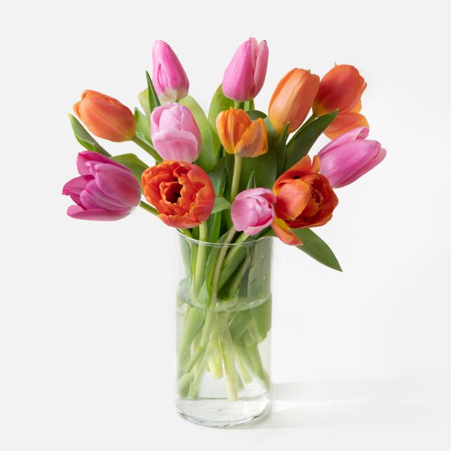 Red and pink tulips for an anniversary gift for parents. 