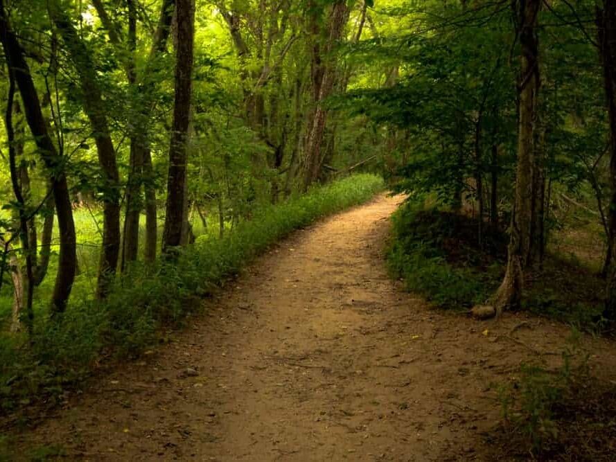 Picture of Neshaminy State Park
