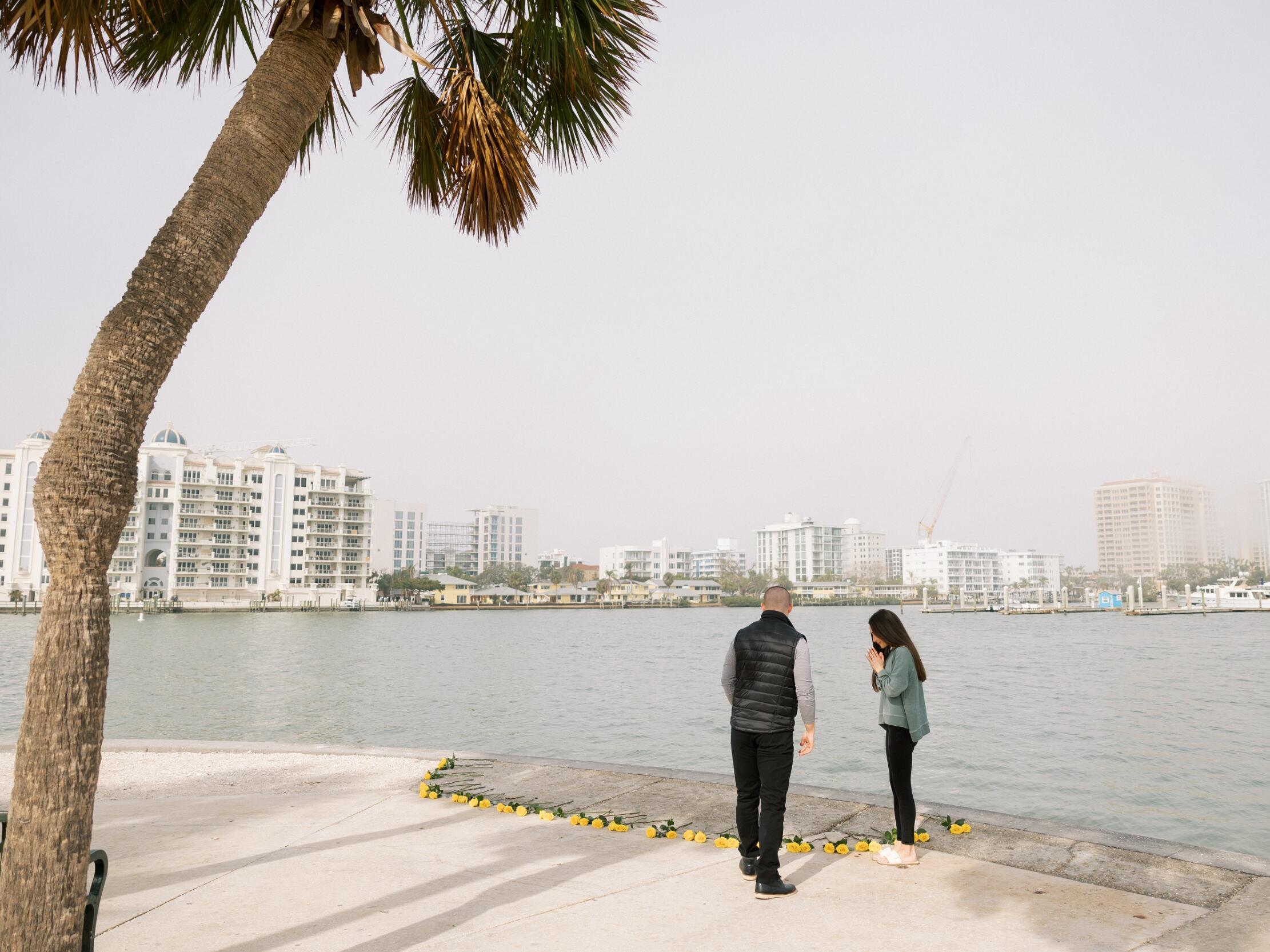 Picture of The Proposal