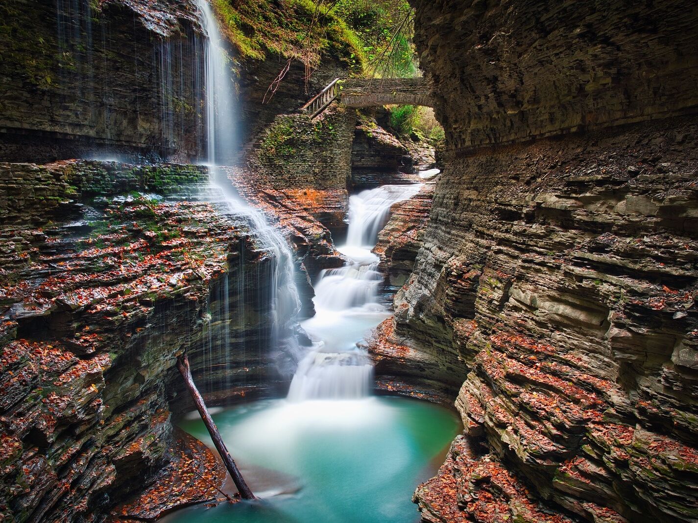 Picture of Watkins Glen State Park