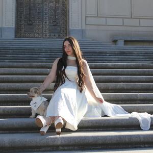 Gallery Photo 26