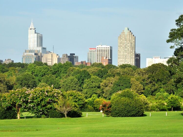 Picture of Dorothea Dix Park