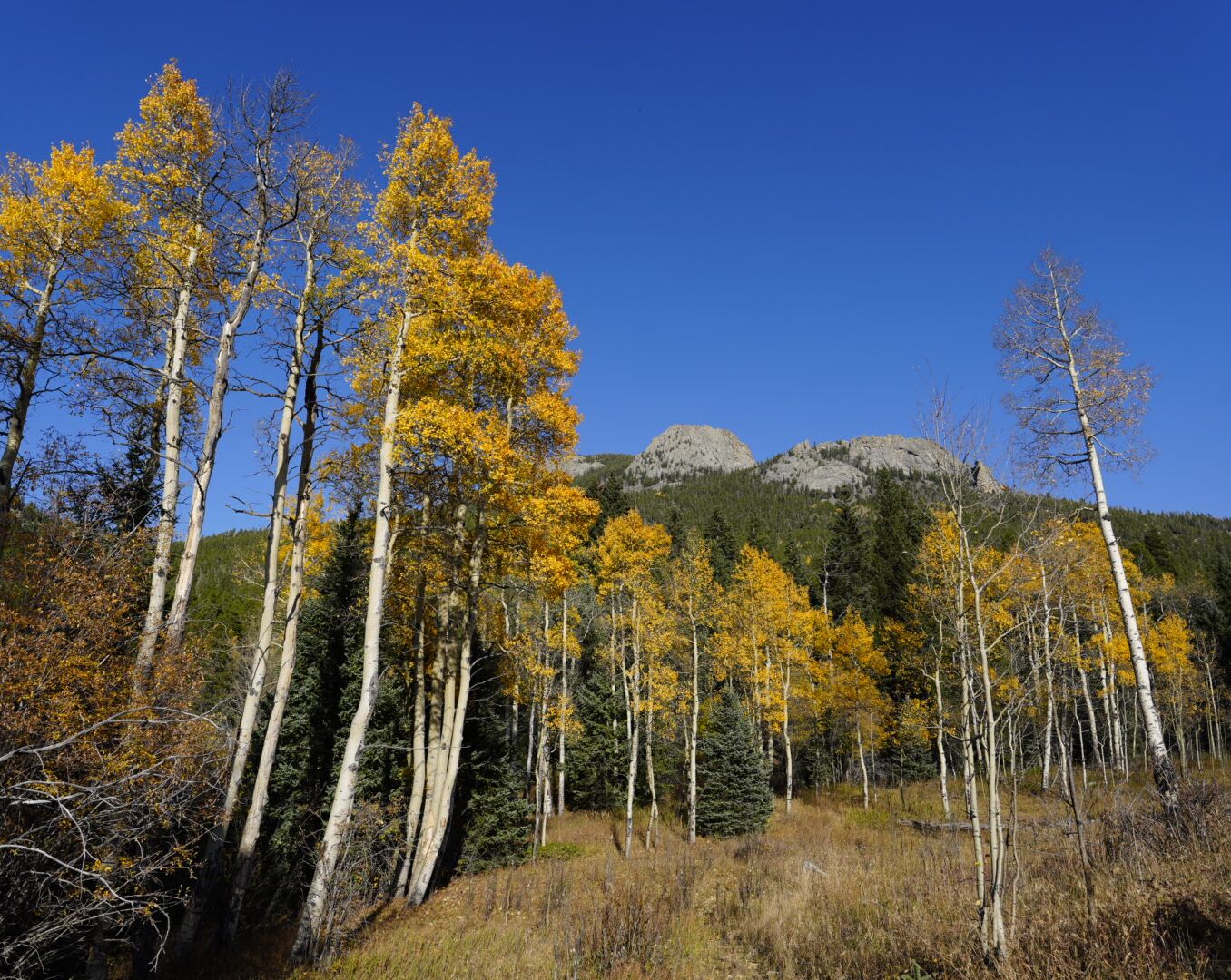 Picture of Golden Gate Canyon State Park