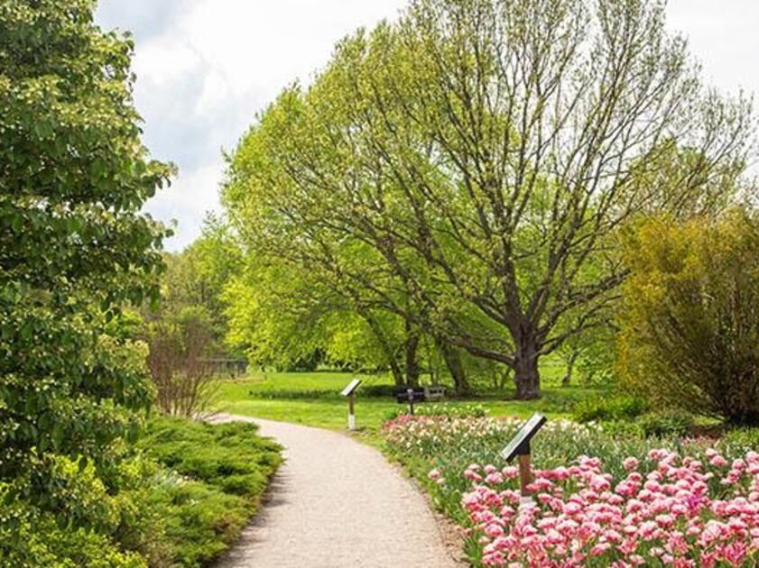 Picture of The Arboretum State Botanical Garden of Kentucky