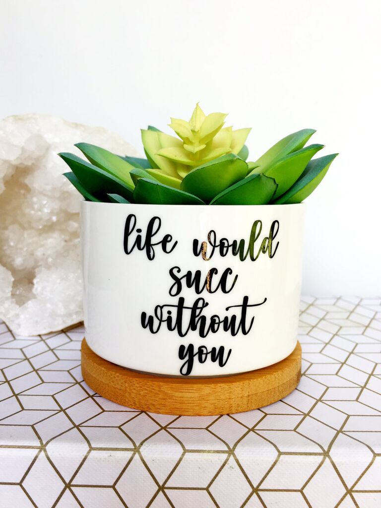 Funny succulent plant pot just because gift